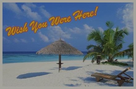 Torn City News Letter