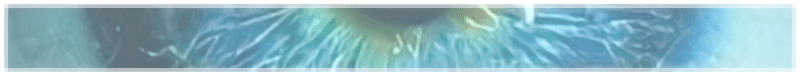 decap101 — Invincible Booster in TORN > Text based Game