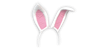 large.png