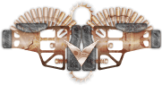 bronze.png